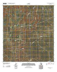 Thompsonville Texas Historical topographic map, 1:24000 scale, 7.5 X 7.5 Minute, Year 2010