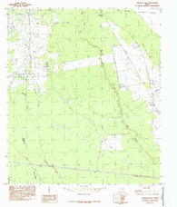 Thorson Gully Texas Historical topographic map, 1:24000 scale, 7.5 X 7.5 Minute, Year 1984