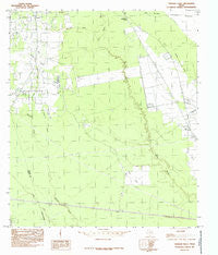 Thorson Gully Texas Historical topographic map, 1:24000 scale, 7.5 X 7.5 Minute, Year 1984