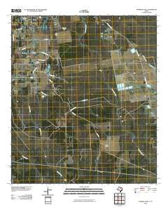 Thorson Gully Texas Historical topographic map, 1:24000 scale, 7.5 X 7.5 Minute, Year 2010