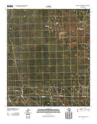 Three Bluff Draw NE Texas Historical topographic map, 1:24000 scale, 7.5 X 7.5 Minute, Year 2010