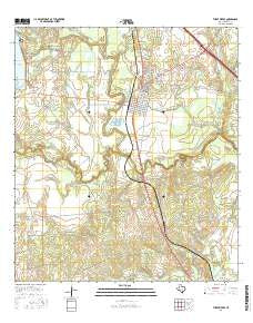 Three Rivers Texas Current topographic map, 1:24000 scale, 7.5 X 7.5 Minute, Year 2016