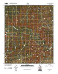 Tige Canyon Texas Historical topographic map, 1:24000 scale, 7.5 X 7.5 Minute, Year 2010