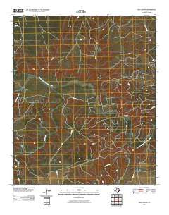 Tige Canyon Texas Historical topographic map, 1:24000 scale, 7.5 X 7.5 Minute, Year 2010