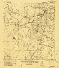 Tilden Texas Historical topographic map, 1:62500 scale, 15 X 15 Minute, Year 1942