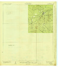 Tilden Texas Historical topographic map, 1:62500 scale, 15 X 15 Minute, Year 1930
