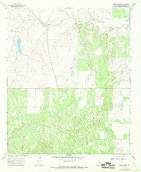 Tonk Creek Texas Historical topographic map, 1:24000 scale, 7.5 X 7.5 Minute, Year 1966