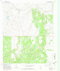 Tonk Creek Texas Historical topographic map, 1:24000 scale, 7.5 X 7.5 Minute, Year 1966