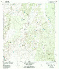 Tordillo Creek Texas Historical topographic map, 1:24000 scale, 7.5 X 7.5 Minute, Year 1984