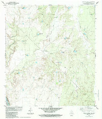 Tordillo Creek Texas Historical topographic map, 1:24000 scale, 7.5 X 7.5 Minute, Year 1984