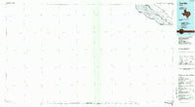 Tornillo Texas Historical topographic map, 1:100000 scale, 30 X 60 Minute, Year 1985
