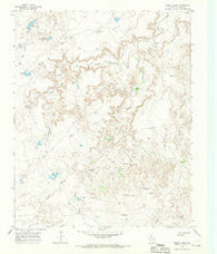Torrea Peak Texas Historical topographic map, 1:24000 scale, 7.5 X 7.5 Minute, Year 1966