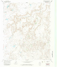 Torrey Peak Texas Historical topographic map, 1:24000 scale, 7.5 X 7.5 Minute, Year 1966