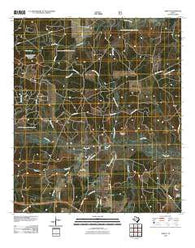 Trevat Texas Historical topographic map, 1:24000 scale, 7.5 X 7.5 Minute, Year 2010