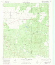 Triangle Ranch Texas Historical topographic map, 1:24000 scale, 7.5 X 7.5 Minute, Year 1967