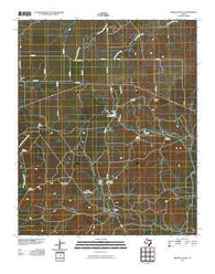 Triangle Ranch Texas Historical topographic map, 1:24000 scale, 7.5 X 7.5 Minute, Year 2010