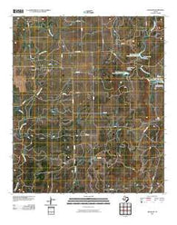 Trickham Texas Historical topographic map, 1:24000 scale, 7.5 X 7.5 Minute, Year 2010