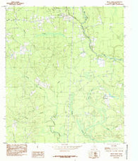 Trout Creek Texas Historical topographic map, 1:24000 scale, 7.5 X 7.5 Minute, Year 1984