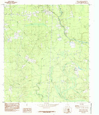 Trout Creek Texas Historical topographic map, 1:24000 scale, 7.5 X 7.5 Minute, Year 1984