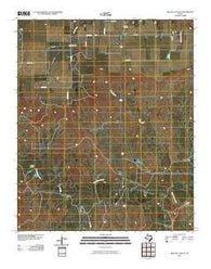 Truscott South Texas Historical topographic map, 1:24000 scale, 7.5 X 7.5 Minute, Year 2010