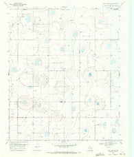 Tule Lake NW Texas Historical topographic map, 1:24000 scale, 7.5 X 7.5 Minute, Year 1969