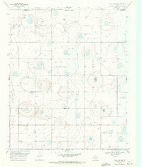 Tule Lake NW Texas Historical topographic map, 1:24000 scale, 7.5 X 7.5 Minute, Year 1969