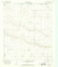 Tulia NW Texas Historical topographic map, 1:24000 scale, 7.5 X 7.5 Minute, Year 1966