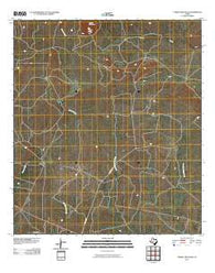 Turkey Mountain Texas Historical topographic map, 1:24000 scale, 7.5 X 7.5 Minute, Year 2010