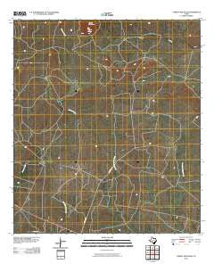 Turkey Mountain Texas Historical topographic map, 1:24000 scale, 7.5 X 7.5 Minute, Year 2010