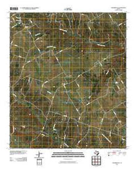 Turnersville Texas Historical topographic map, 1:24000 scale, 7.5 X 7.5 Minute, Year 2010