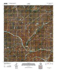 Turtle Creek Texas Historical topographic map, 1:24000 scale, 7.5 X 7.5 Minute, Year 2010