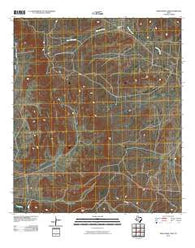 Twelvemile Camp Texas Historical topographic map, 1:24000 scale, 7.5 X 7.5 Minute, Year 2010