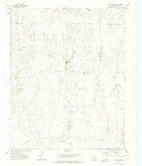 Twin Grove Texas Historical topographic map, 1:24000 scale, 7.5 X 7.5 Minute, Year 1972