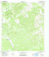 Twin Hollow Texas Historical topographic map, 1:24000 scale, 7.5 X 7.5 Minute, Year 1969