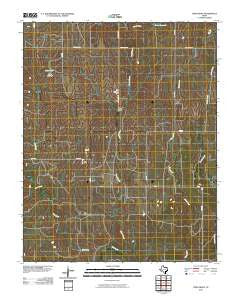 Twin Grove Texas Historical topographic map, 1:24000 scale, 7.5 X 7.5 Minute, Year 2010