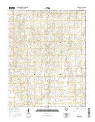 Twin Grove Texas Current topographic map, 1:24000 scale, 7.5 X 7.5 Minute, Year 2016