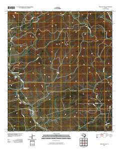 Twin Hollow Texas Historical topographic map, 1:24000 scale, 7.5 X 7.5 Minute, Year 2010