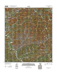 Twin Hollow Texas Historical topographic map, 1:24000 scale, 7.5 X 7.5 Minute, Year 2013
