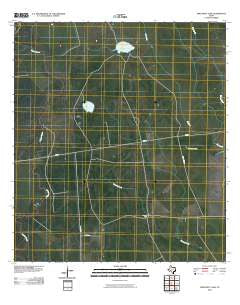 Twin Mott Lake Texas Historical topographic map, 1:24000 scale, 7.5 X 7.5 Minute, Year 2010