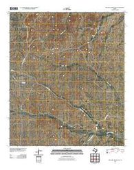 Two Mill Draw East Texas Historical topographic map, 1:24000 scale, 7.5 X 7.5 Minute, Year 2010