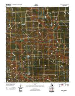 Twomile Creek Texas Historical topographic map, 1:24000 scale, 7.5 X 7.5 Minute, Year 2010