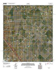 Tynan Texas Historical topographic map, 1:24000 scale, 7.5 X 7.5 Minute, Year 2010