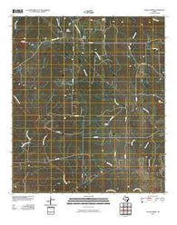 Valley Spring Texas Historical topographic map, 1:24000 scale, 7.5 X 7.5 Minute, Year 2010