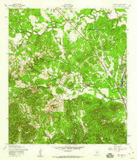 Van Raub Texas Historical topographic map, 1:24000 scale, 7.5 X 7.5 Minute, Year 1953
