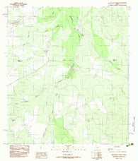 Velenzuela Creek Texas Historical topographic map, 1:24000 scale, 7.5 X 7.5 Minute, Year 1982