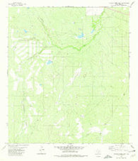 Venado Creek East Texas Historical topographic map, 1:24000 scale, 7.5 X 7.5 Minute, Year 1980