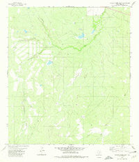 Venado Creek East Texas Historical topographic map, 1:24000 scale, 7.5 X 7.5 Minute, Year 1980