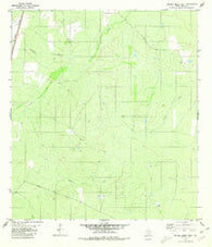 Venado Creek West Texas Historical topographic map, 1:24000 scale, 7.5 X 7.5 Minute, Year 1980