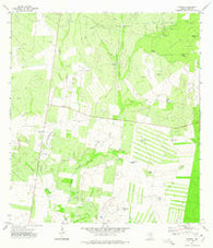 Viboras Texas Historical topographic map, 1:24000 scale, 7.5 X 7.5 Minute, Year 1972