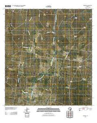 Viboras Texas Historical topographic map, 1:24000 scale, 7.5 X 7.5 Minute, Year 2010